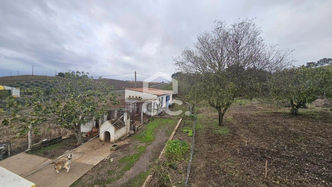 Moradia T4 para Venda em Ervidel Foto 18