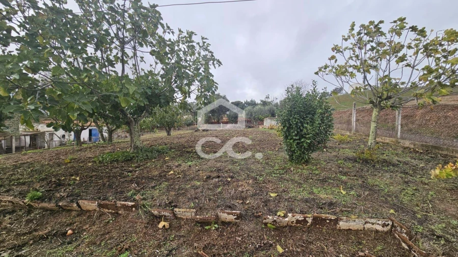 Moradia T4 para Venda em Ervidel Foto 19