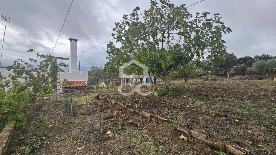 Moradia T4 para Venda em Ervidel Foto 21