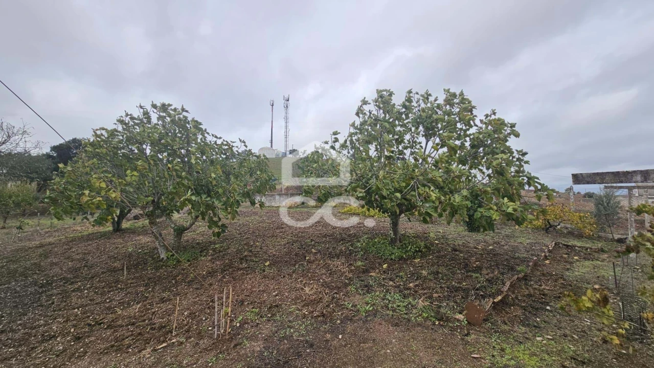 Moradia T4 para Venda em Ervidel Foto 20