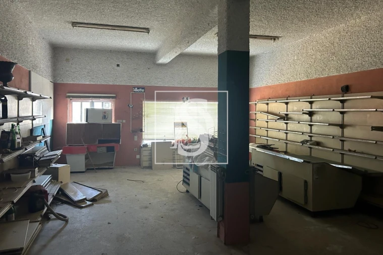 Prédio para Venda em Mortágua, Vale de Remígio, Cortegaça e Almaça Foto 28