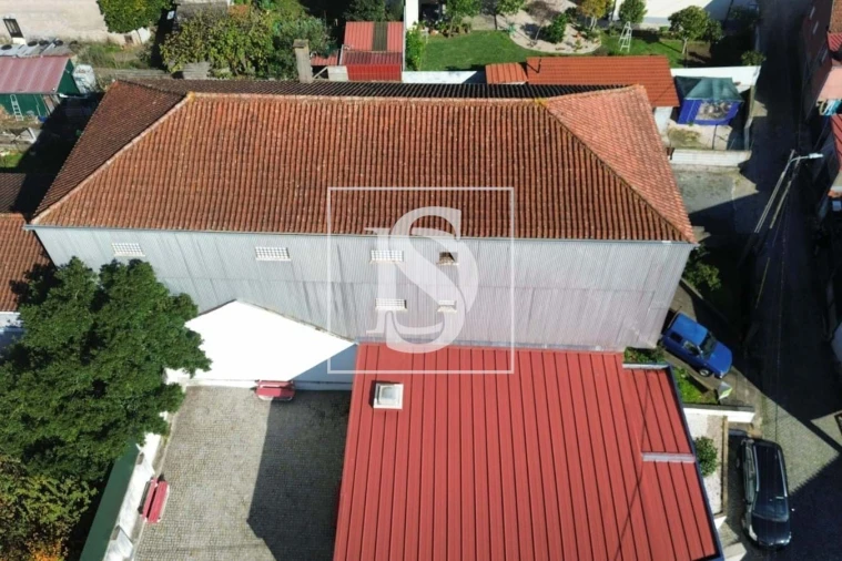 Prédio para Venda em Mortágua, Vale de Remígio, Cortegaça e Almaça Foto 44