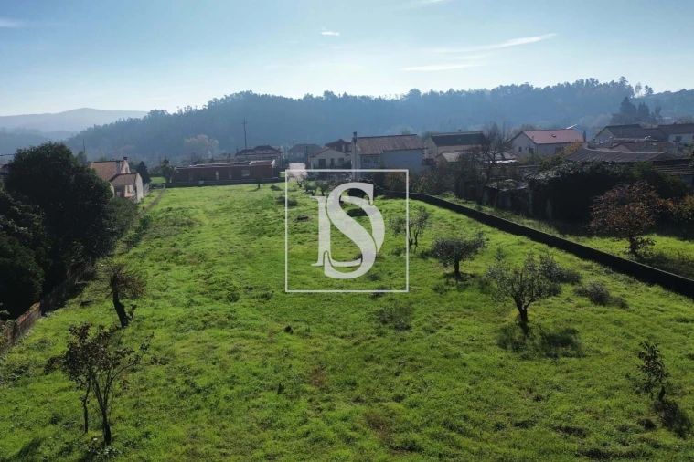 Terreno para Venda em Mortágua, Vale de Remígio, Cortegaça e Almaça Foto 13