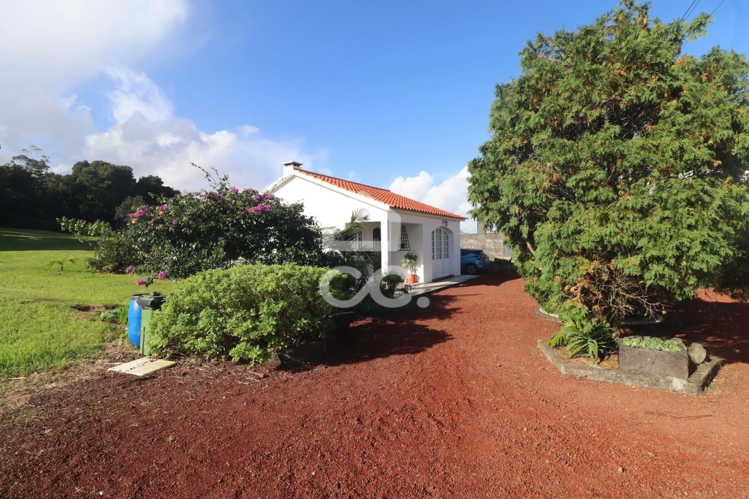 Moradia T5 para Venda em São Vicente Ferreira Foto 4