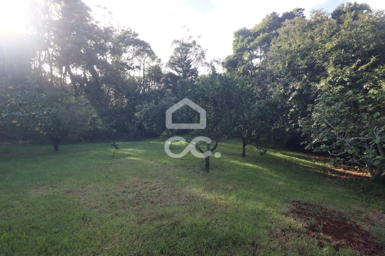 Moradia T5 para Venda em São Vicente Ferreira Foto 43