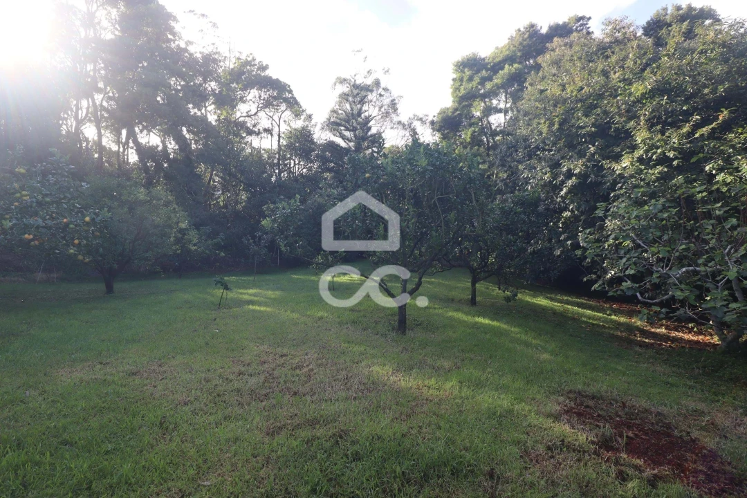 Moradia T5 para Venda em São Vicente Ferreira Foto 36