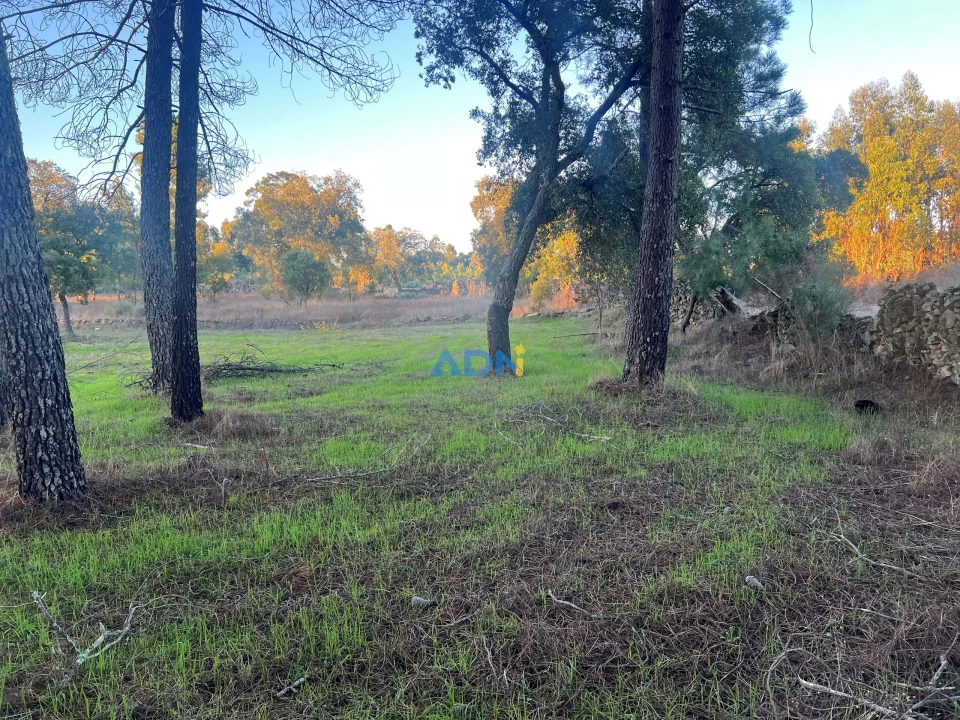 Quinta para Venda em Póvoa de Rio de Moinhos e Cafede Foto 20