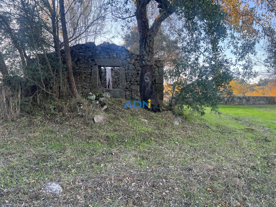 Quinta para Venda em Póvoa de Rio de Moinhos e Cafede Foto 6