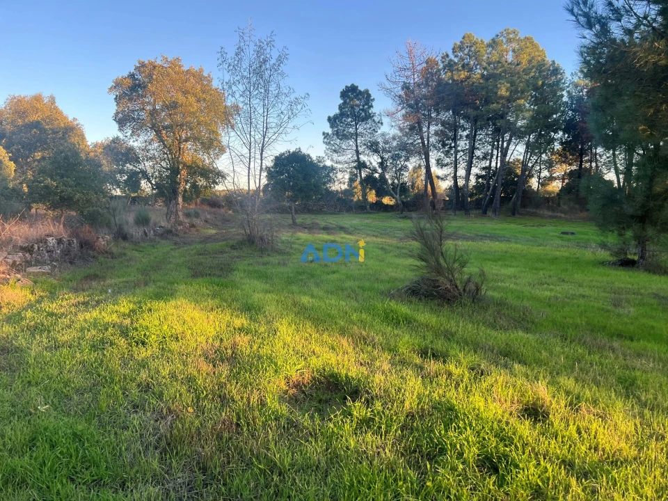 Quinta para Venda em Póvoa de Rio de Moinhos e Cafede Foto 11