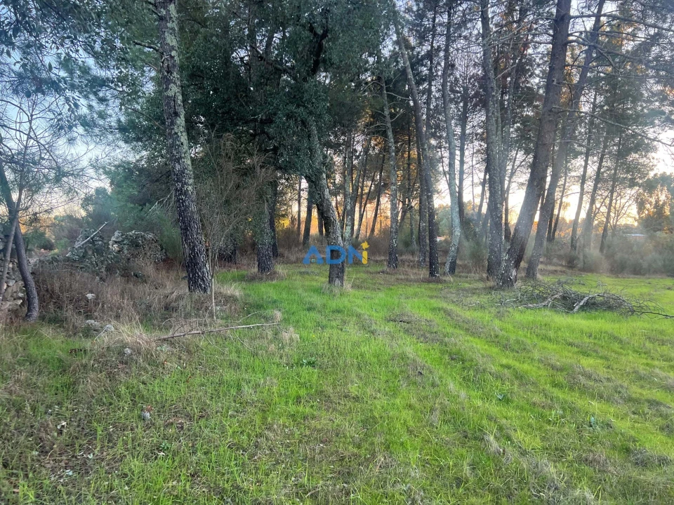 Quinta para Venda em Póvoa de Rio de Moinhos e Cafede Foto 17