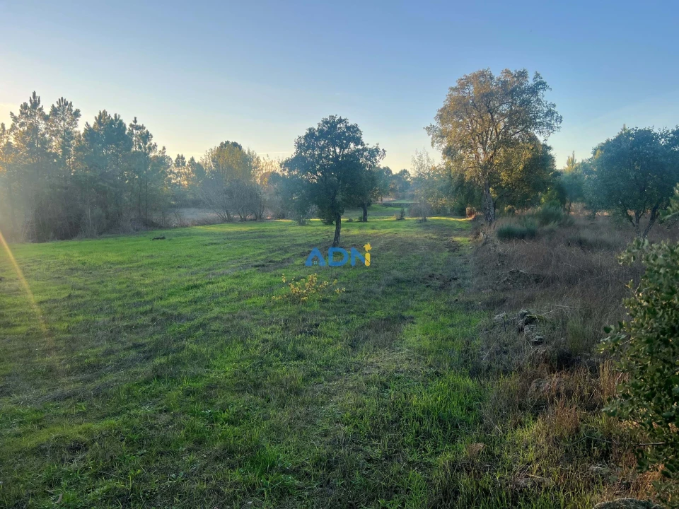 Quinta para Venda em Póvoa de Rio de Moinhos e Cafede Foto 16