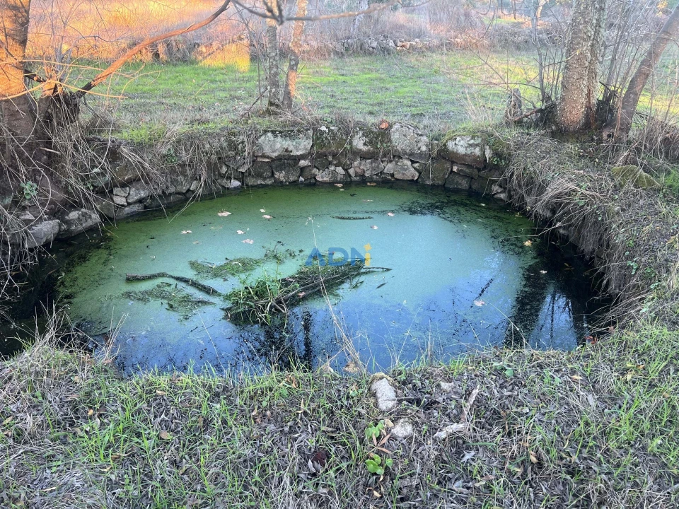 Quinta para Venda em Póvoa de Rio de Moinhos e Cafede Foto 8