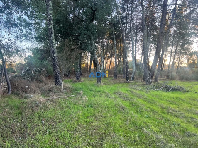 Quinta para Venda em Póvoa de Rio de Moinhos e Cafede Foto 17