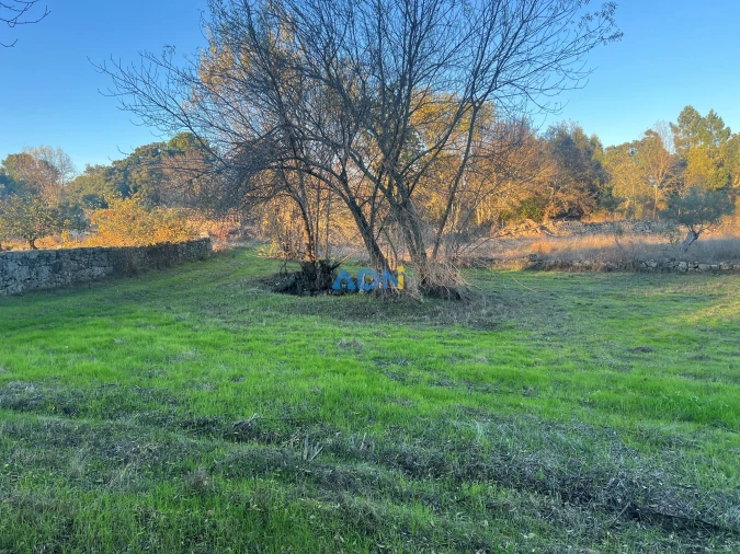 Quinta para Venda em Póvoa de Rio de Moinhos e Cafede Foto 7