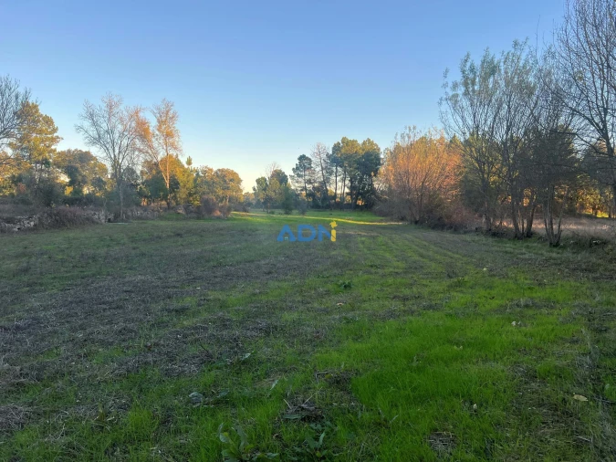 Quinta para Venda em Póvoa de Rio de Moinhos e Cafede Foto 9