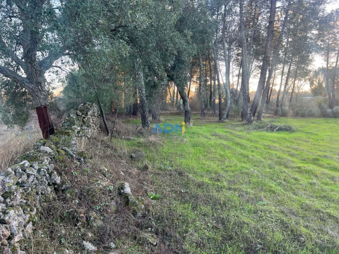Quinta para Venda em Póvoa de Rio de Moinhos e Cafede Foto 14