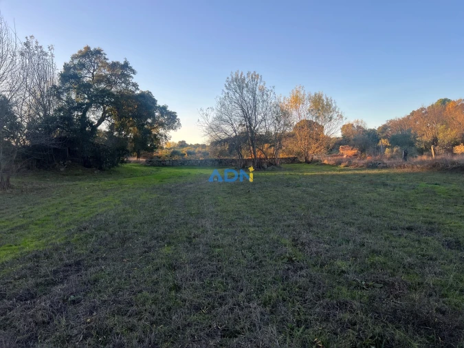 Quinta para Venda em Póvoa de Rio de Moinhos e Cafede Foto 12