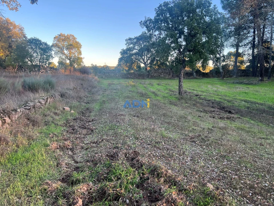 Quinta para Venda em Póvoa de Rio de Moinhos e Cafede Foto 13