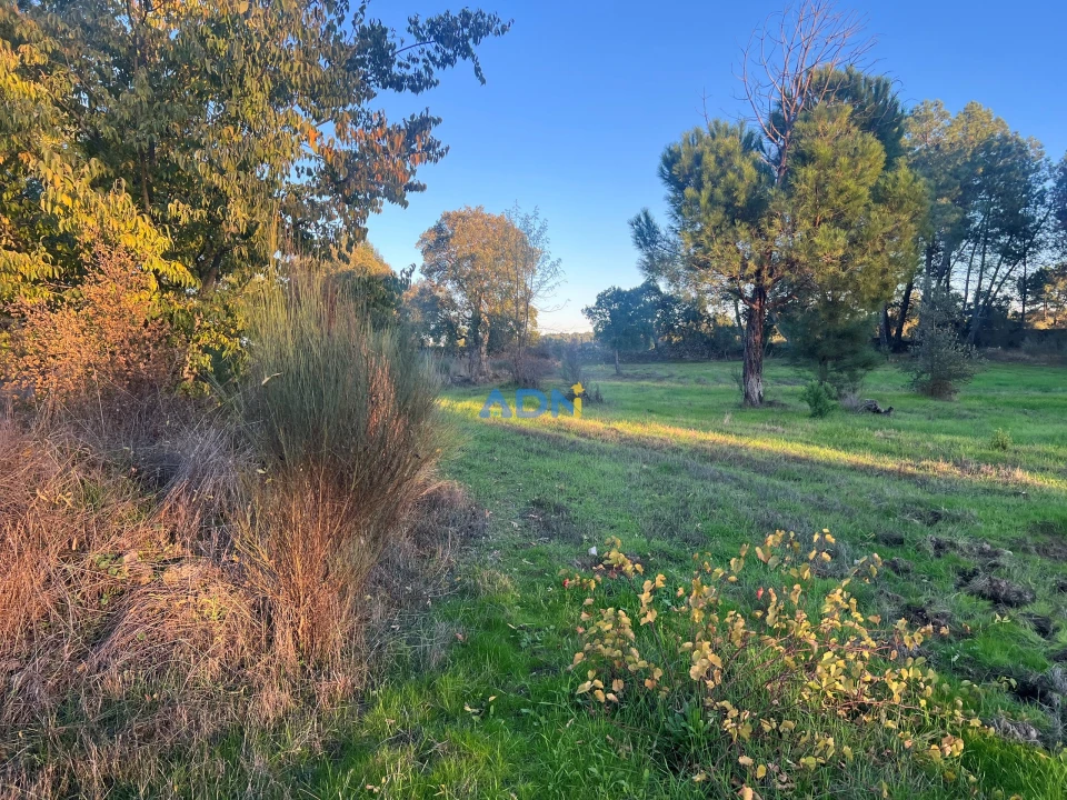 Quinta para Venda em Póvoa de Rio de Moinhos e Cafede Foto 10