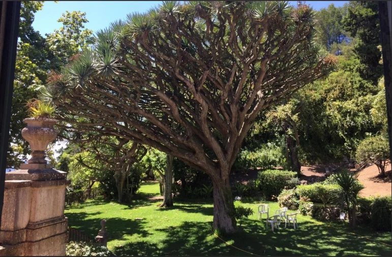 Moradia T15 para Venda em Oeiras e São Julião da Barra, Paço de Arcos e Caxias Foto 8