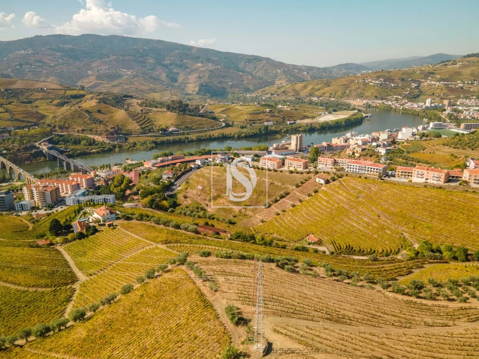 Quinta T4 para Venda em Peso da Régua e Godim Foto 4