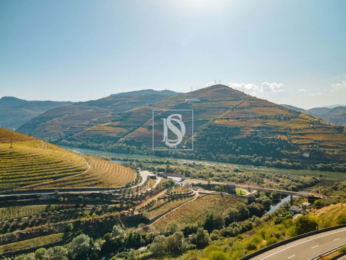 Quinta T4 para Venda em Peso da Régua e Godim Foto 5