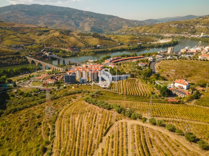 Quinta T4 para Venda em Peso da Régua e Godim Foto 18