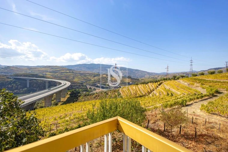 Quinta T4 para Venda em Peso da Régua e Godim Foto 12