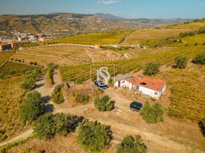 Quinta T4 para Venda em Peso da Régua e Godim Foto 15