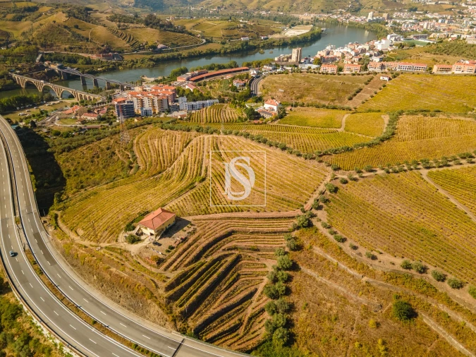 Quinta T4 para Venda em Peso da Régua e Godim Foto 17