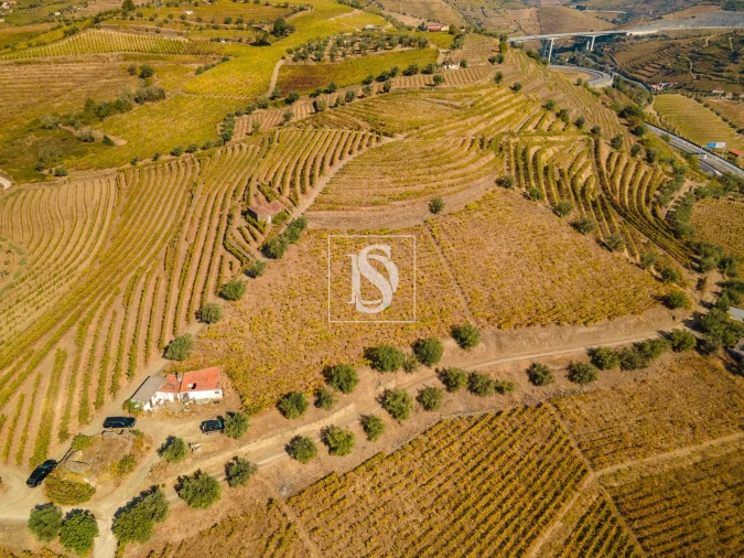 Quinta T4 para Venda em Peso da Régua e Godim Foto 16