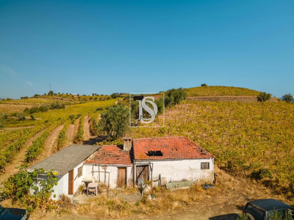 Quinta T4 para Venda em Peso da Régua e Godim Foto 14