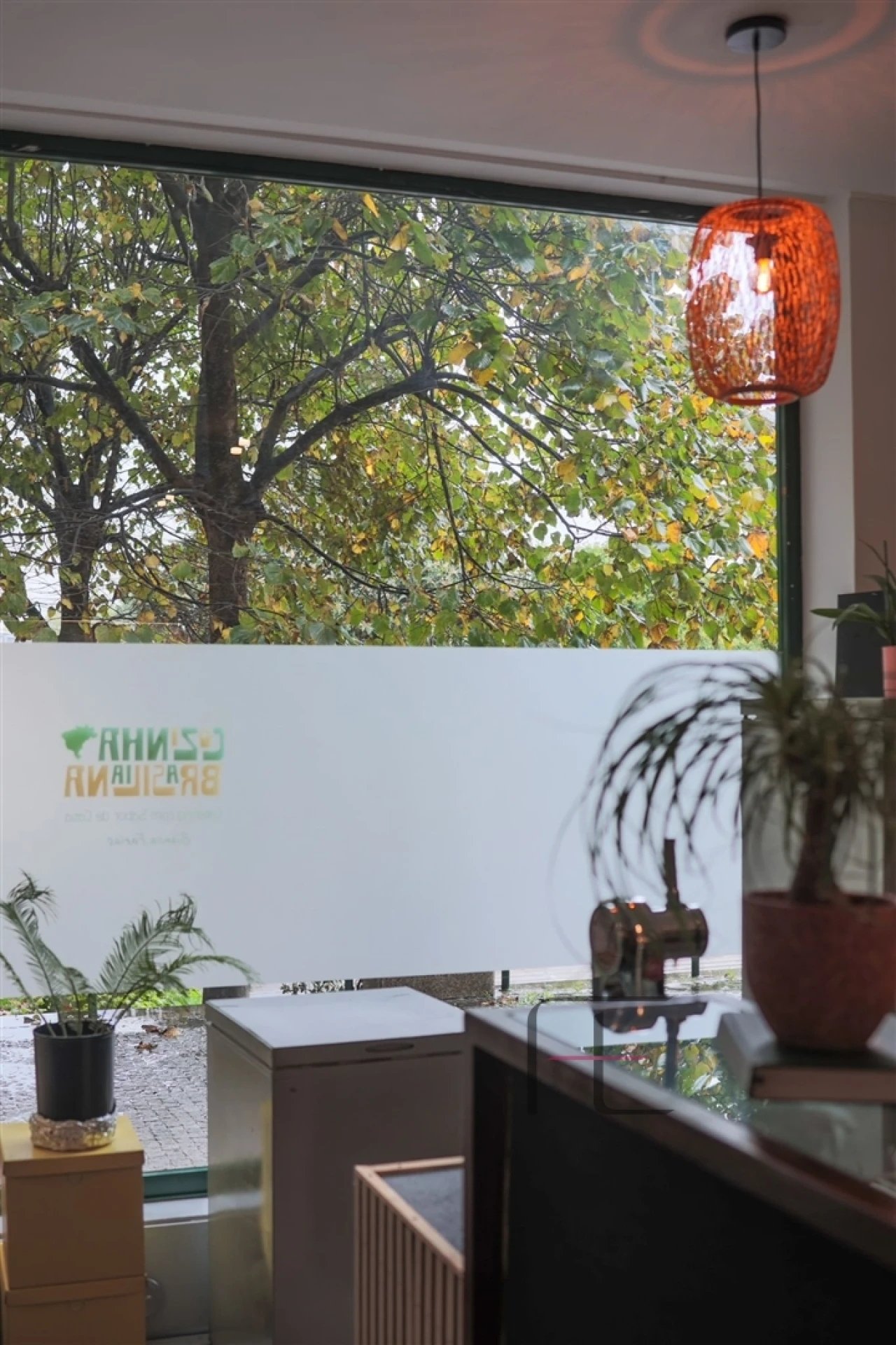 Negócio para Venda em Ramalde Foto 13