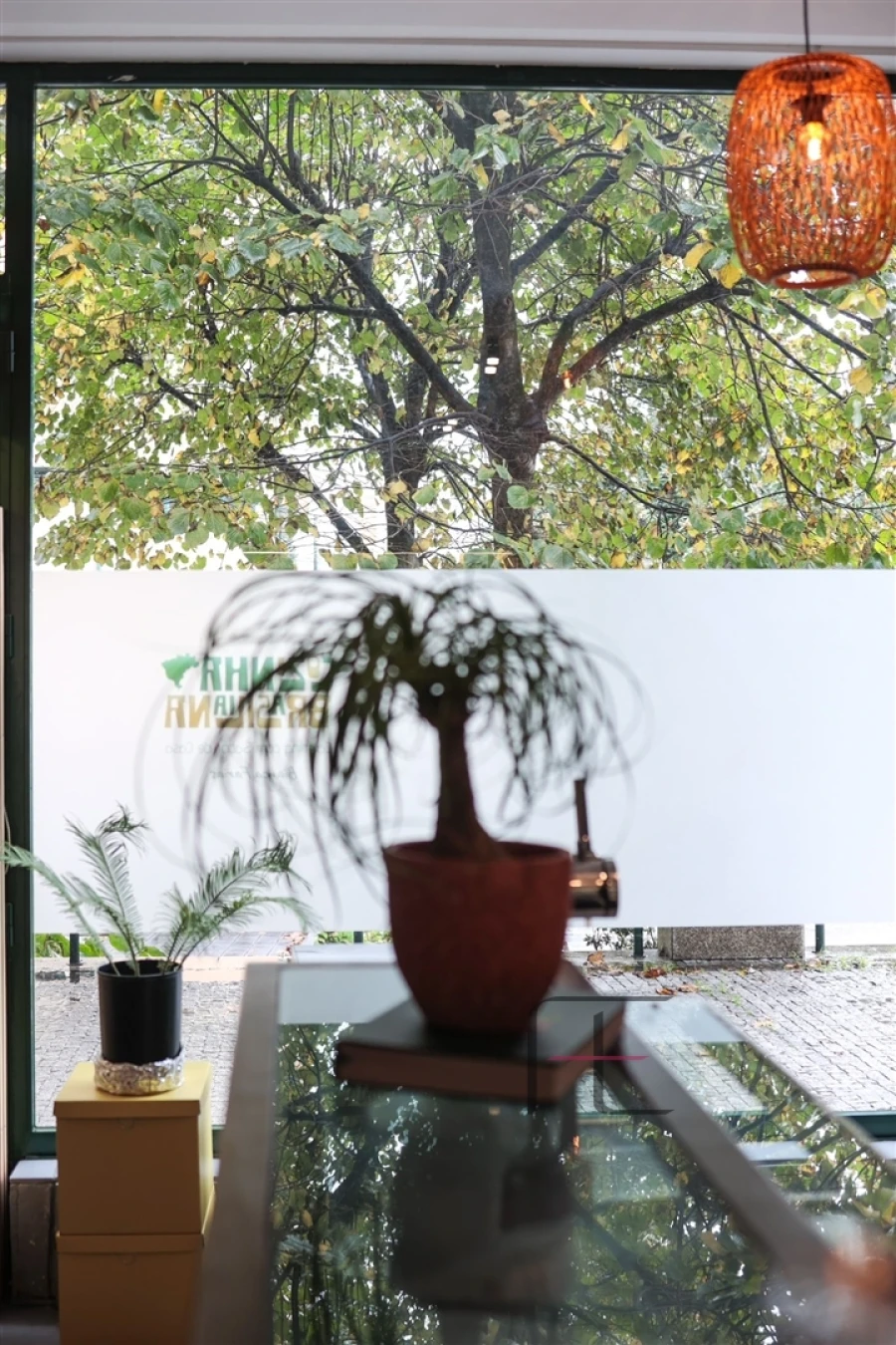 Negócio para Venda em Ramalde Foto 6