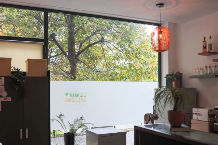 Negócio para Venda em Ramalde Foto 8