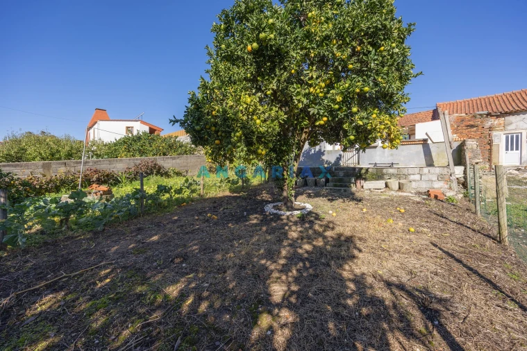 Moradia T2 para Venda em Coz, Alpedriz e Montes Foto 35