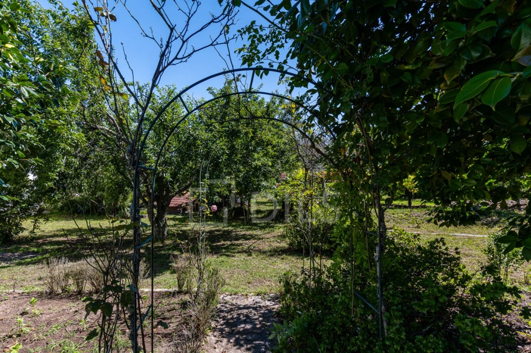 Quinta T6 para Venda em Galegos Foto 58