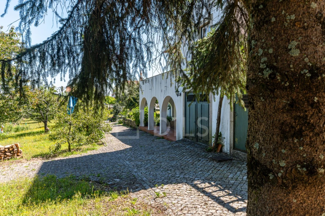 Quinta T6 para Venda em Galegos Foto 67