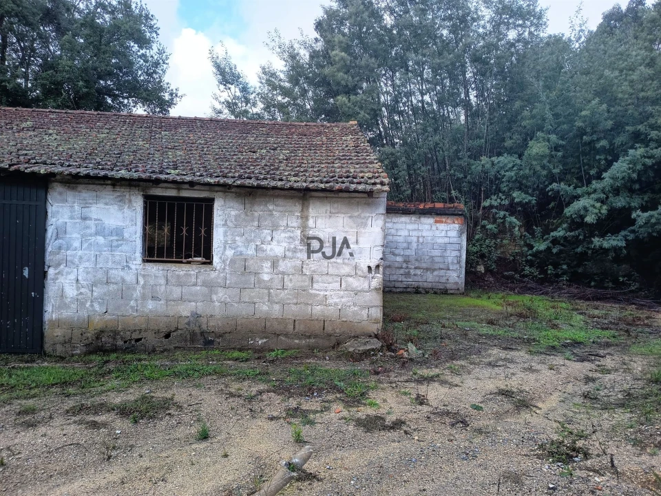 Terreno Misto para Venda em Treixedo e Nagozela Foto 3