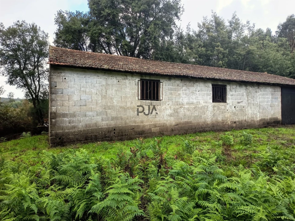 Terreno Misto para Venda em Treixedo e Nagozela Foto 8