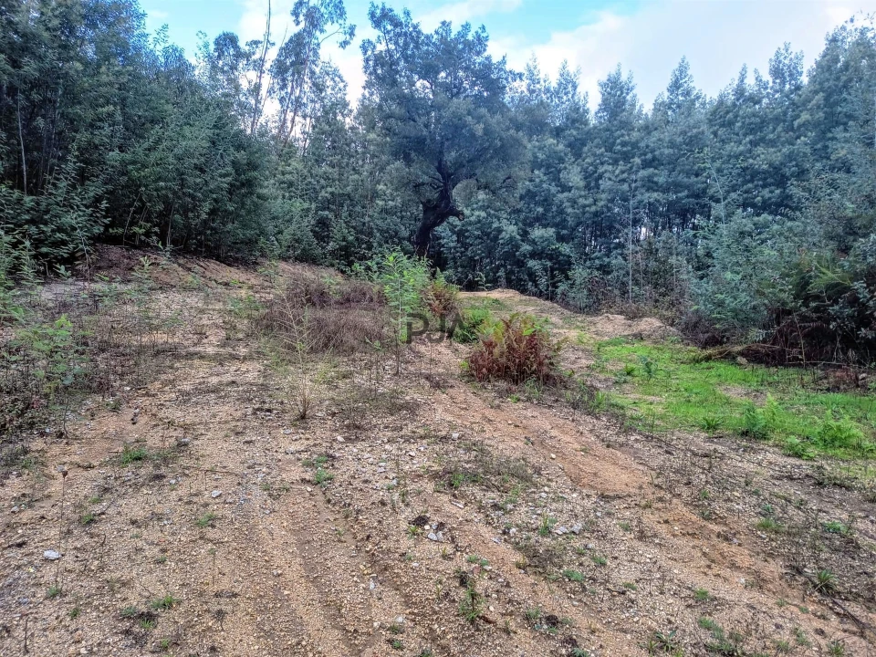 Terreno Misto para Venda em Treixedo e Nagozela Foto 4