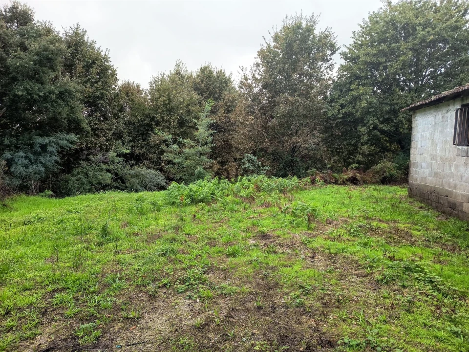 Terreno Misto para Venda em Treixedo e Nagozela Foto 2