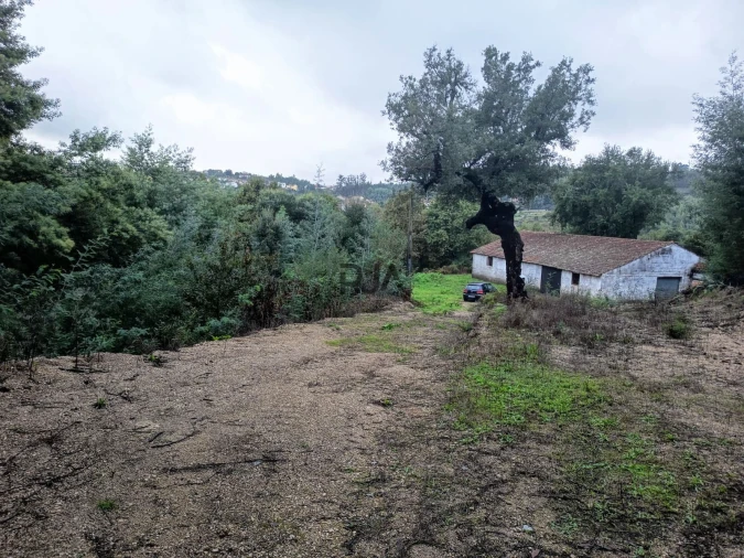 Terreno Misto para Venda em Treixedo e Nagozela Foto 1