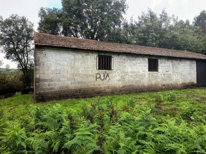 Terreno Misto para Venda em Treixedo e Nagozela Foto 8