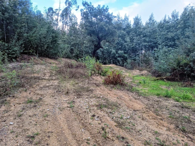 Terreno Misto para Venda em Treixedo e Nagozela Foto 4