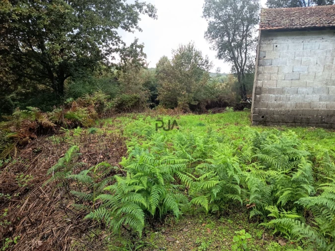 Terreno Misto para Venda em Treixedo e Nagozela Foto 7