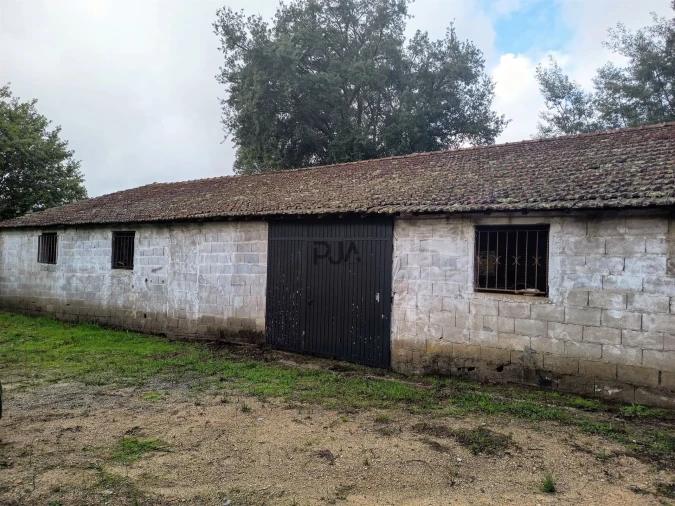 Terreno Misto para Venda em Treixedo e Nagozela Foto 6