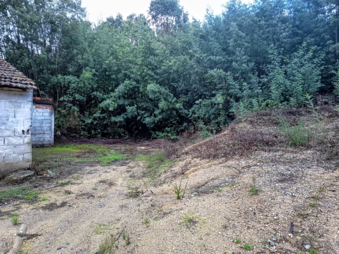 Terreno Misto para Venda em Treixedo e Nagozela Foto 5