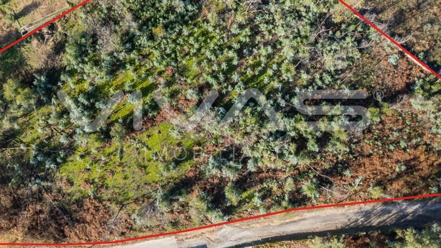 Terreno para Venda em Esqueiros, Nevogilde e Travassós