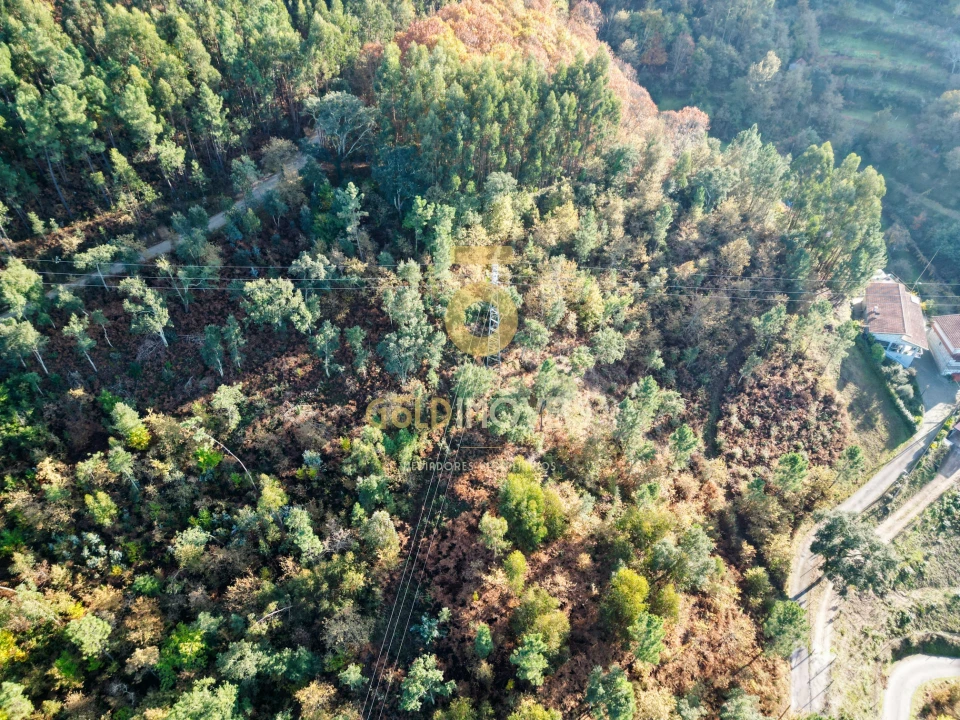 Terreno para Venda em Fornos Foto 4